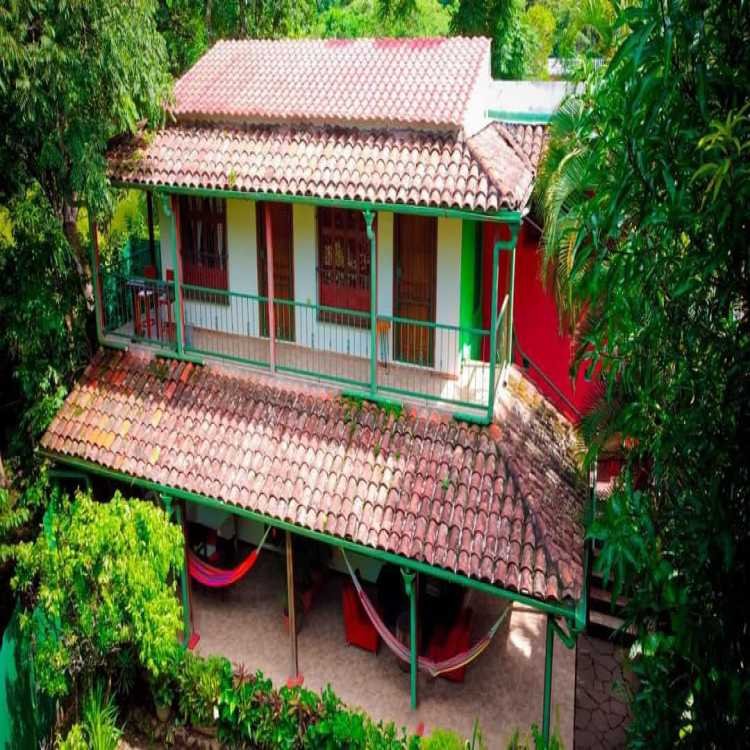 Restaurante guazapa café petit