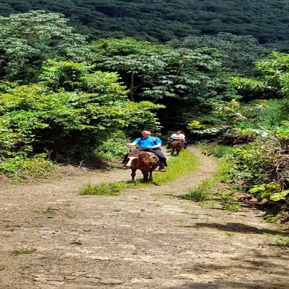 Guazapa tours