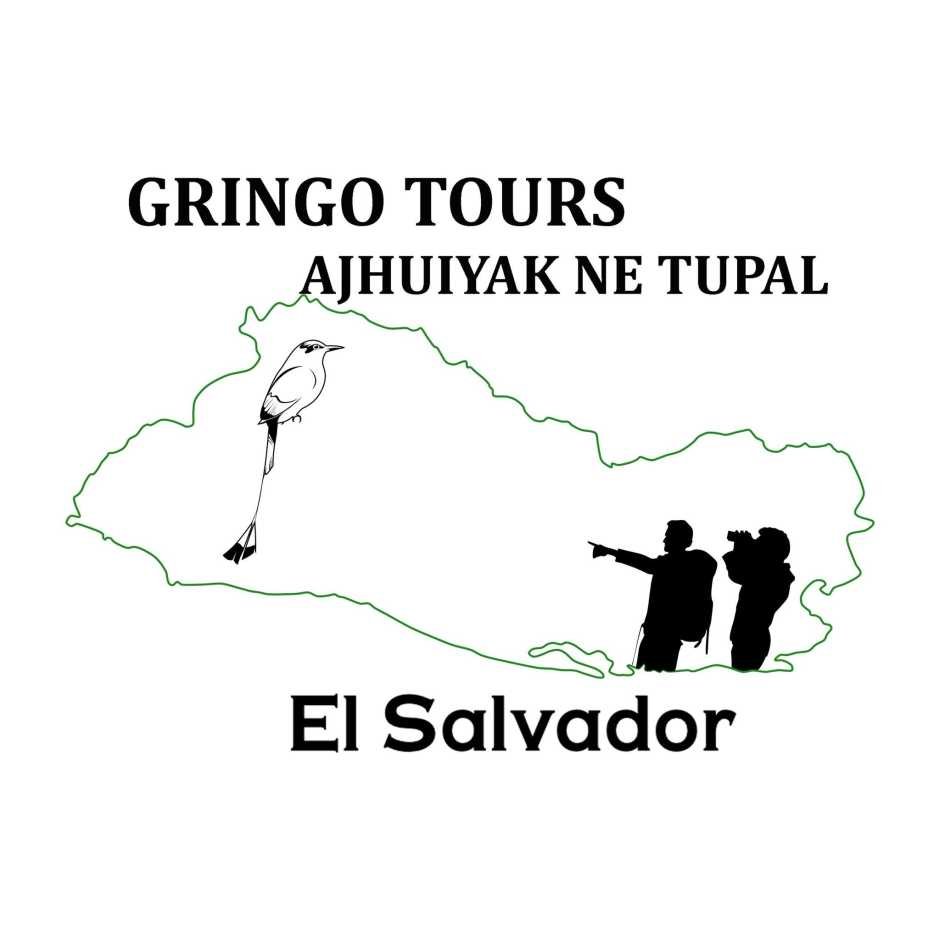 Operador gringo tours