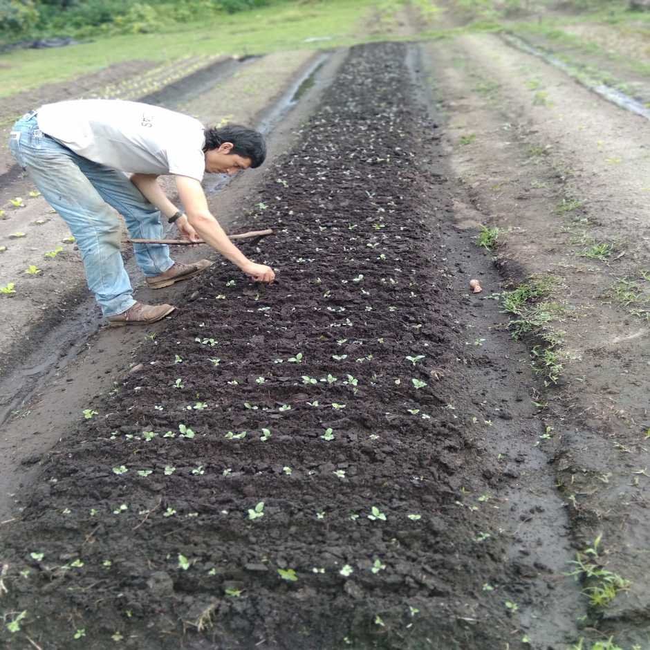 Finca Las Barillas