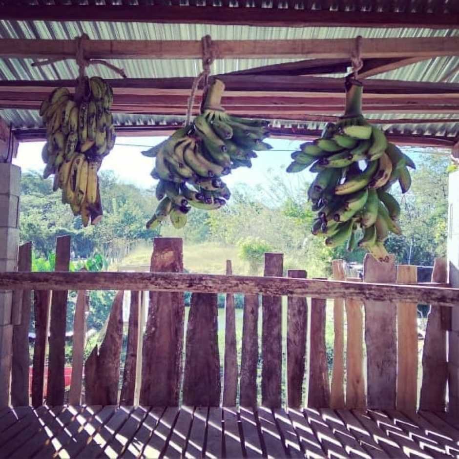 Finca Las Barillas