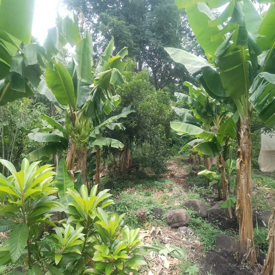 Finca Las Barillas