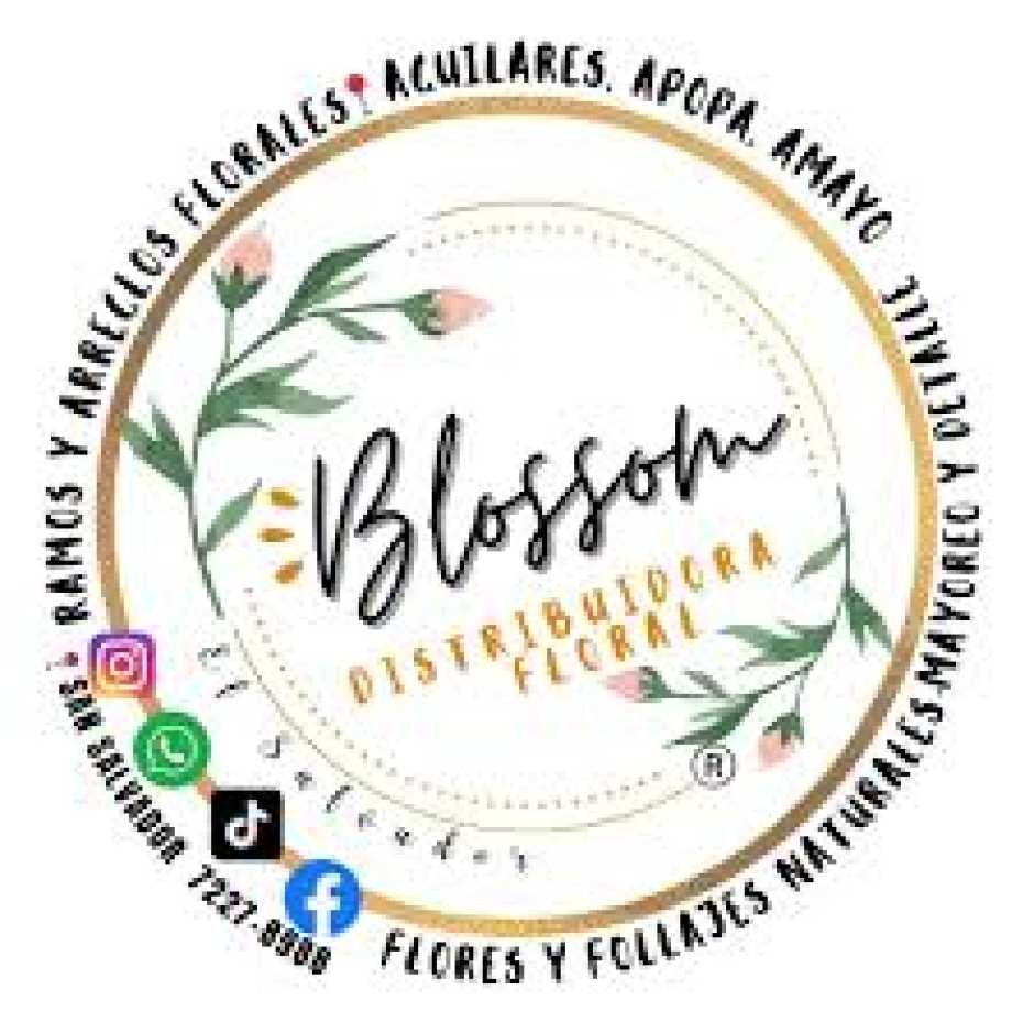 Blossom Distribuidora Floral