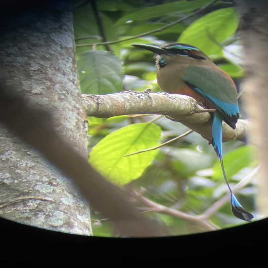 Birding In Suchitoto”