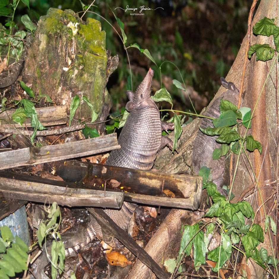 Birding In Suchitoto”
