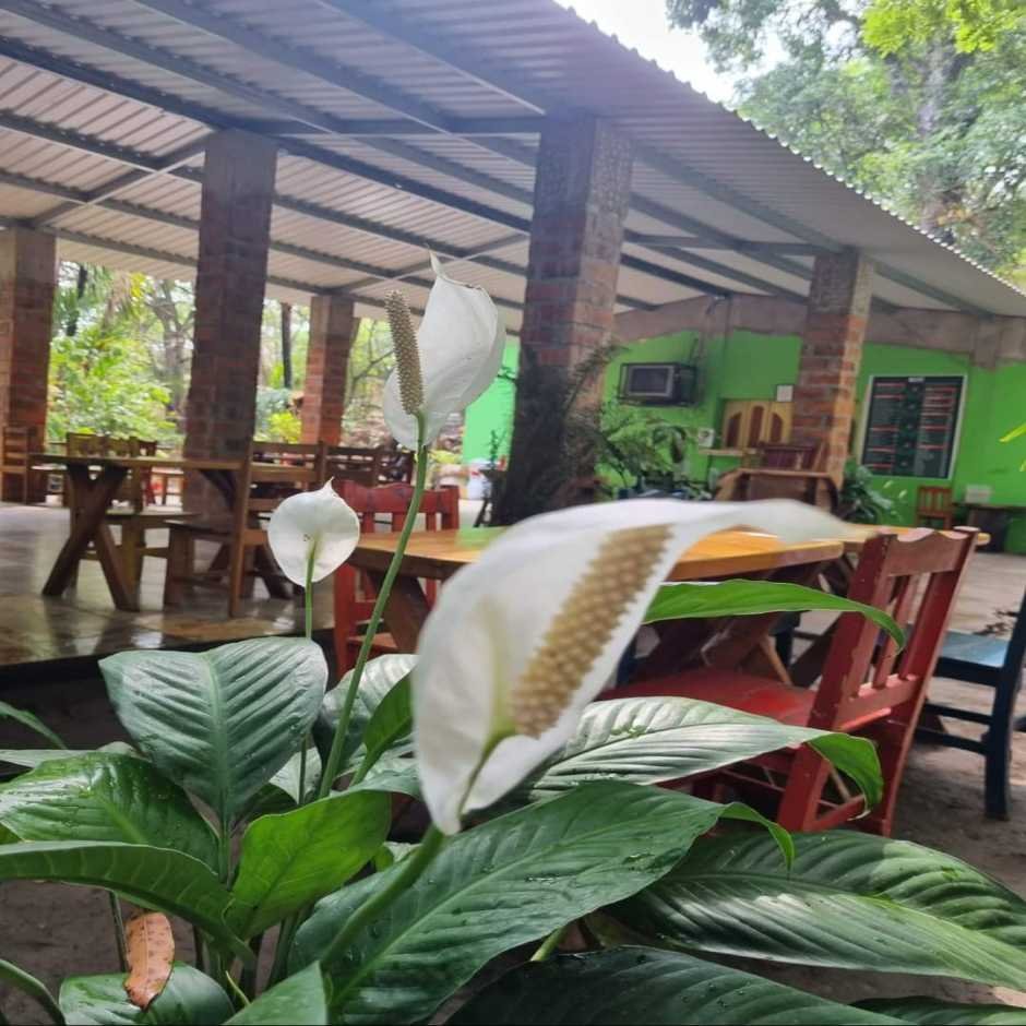 Balneario y restaurante y cabañas el mangal