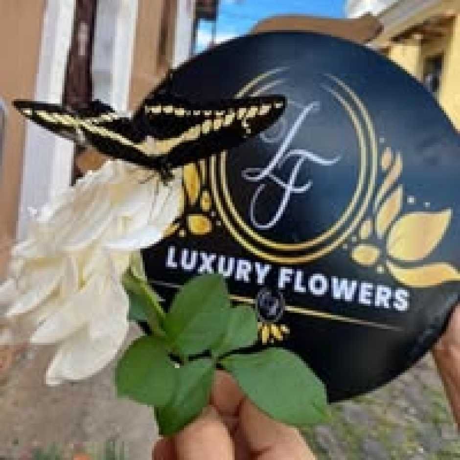 Luxury Flowers