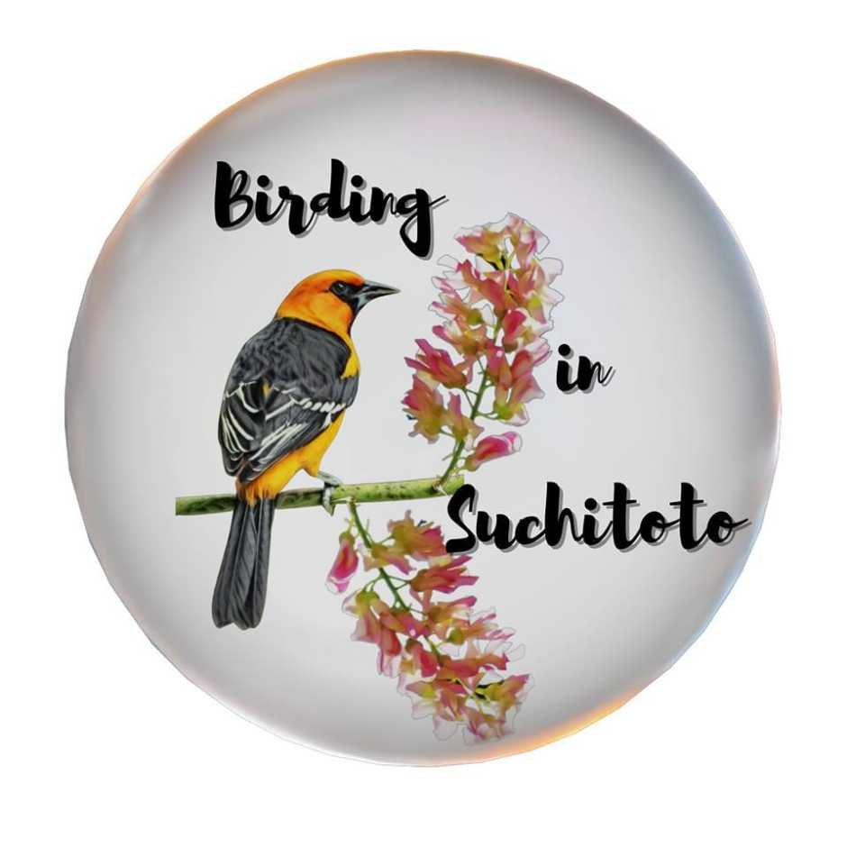 Birding In Suchitoto”