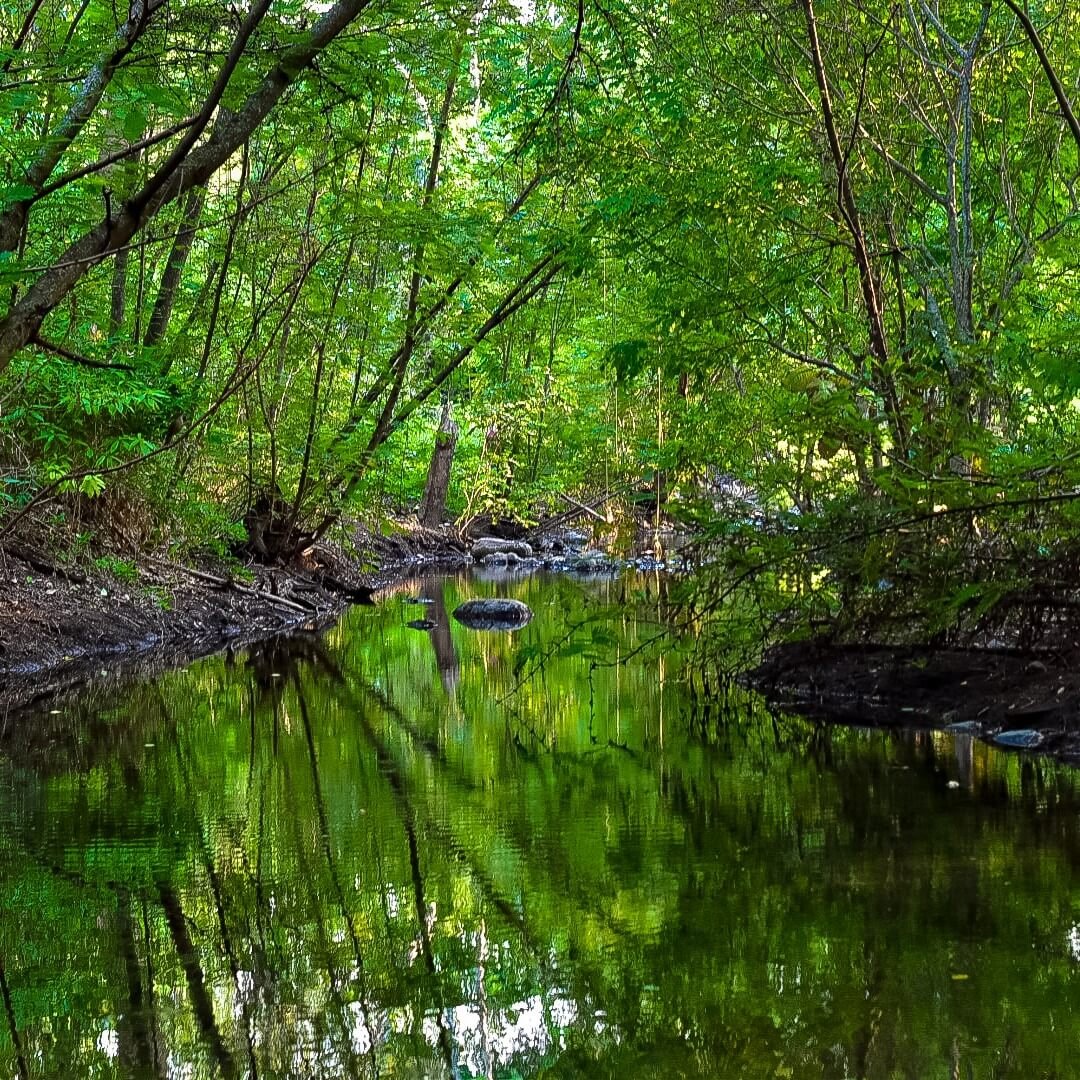 Termales Agua Caliente